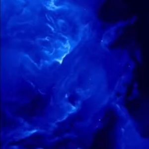 Meet your Posher, Allie